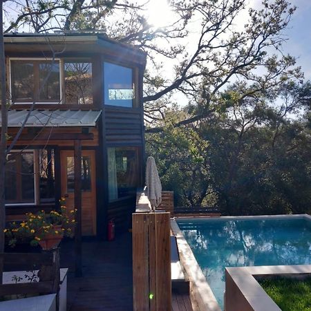 Kato Pavliana Romantic Tree House מראה חיצוני תמונה