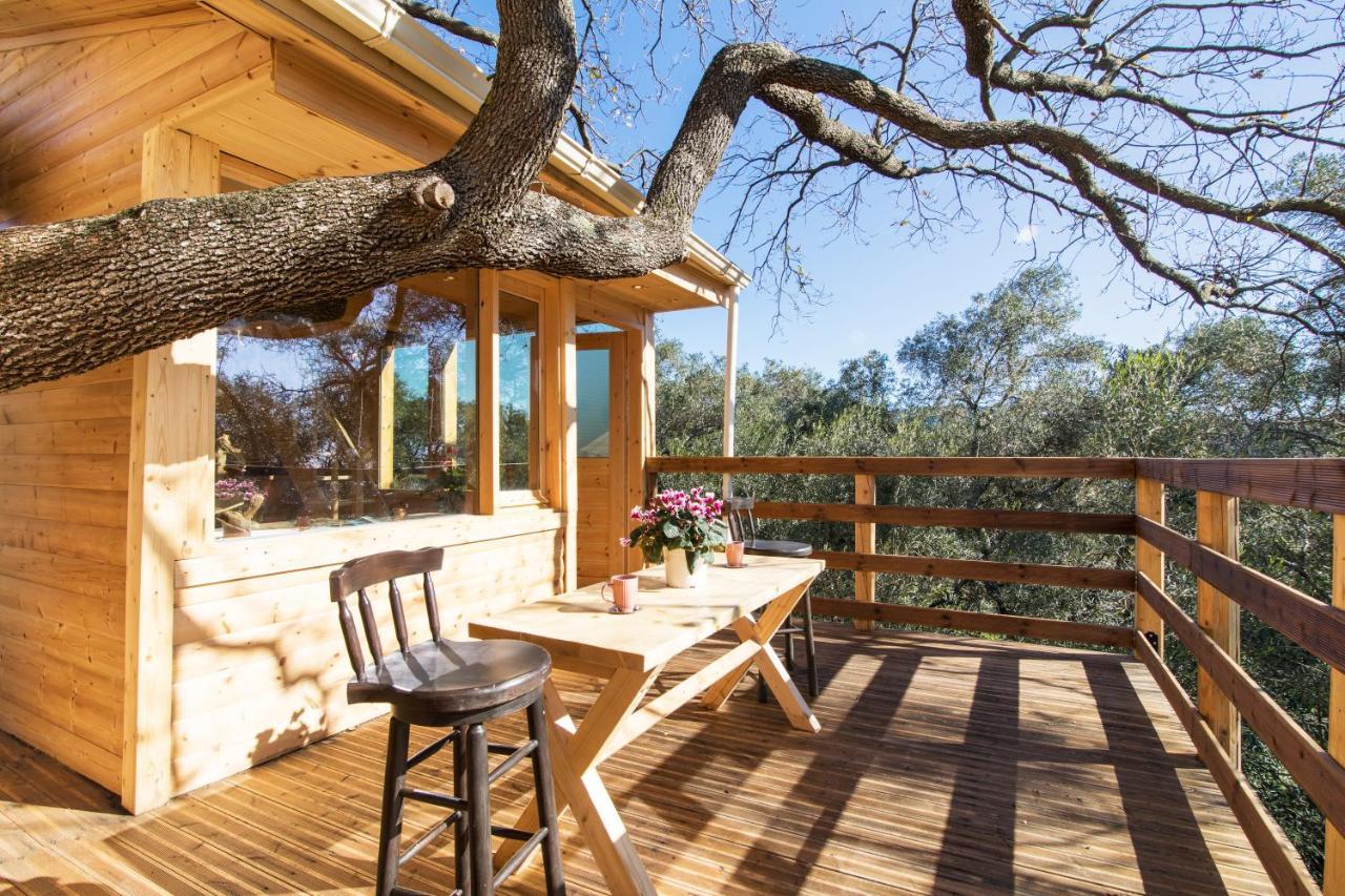 Kato Pavliana Romantic Tree House מראה חיצוני תמונה