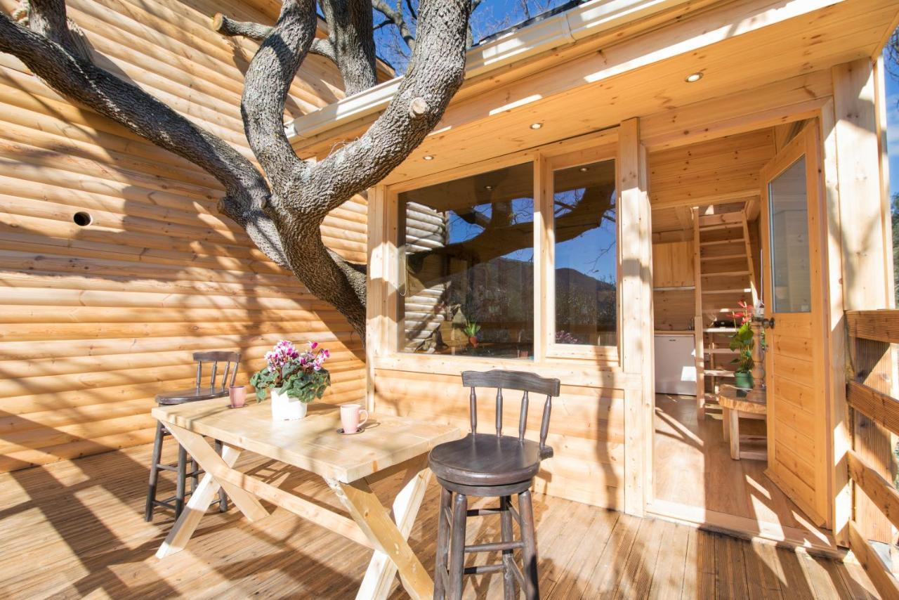 Kato Pavliana Romantic Tree House מראה חיצוני תמונה