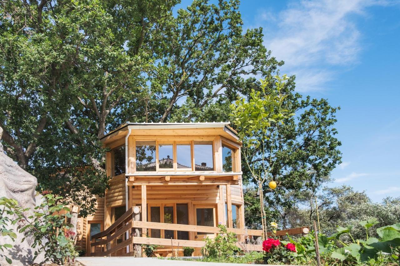 Kato Pavliana Romantic Tree House מראה חיצוני תמונה